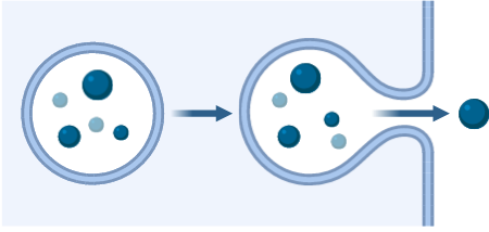 Button 2